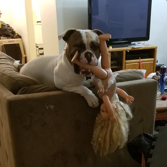 Meet your Posher, Richard - Picture 1 of 1